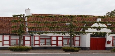 foto st kruis.jpg